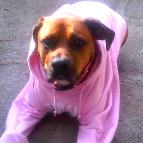 Meet your Posher, Jules Rose - Picture 1 of 1